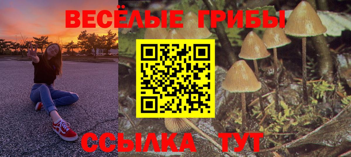 Галлюциногенные грибы MAGIC MUSHROOMS Энгельс