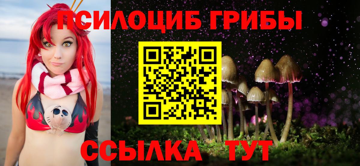 Псилоцибиновые грибы Psilocybine cubensis  Вход с VPN  Галлюциногенные грибы MAGIC MUSHROOMS  Энгельс 